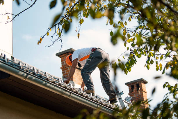 Best Roof Leak Repair  in Mans, CO