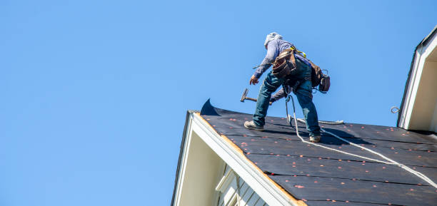 Best Shingle Roofing Installation  in Mans, CO